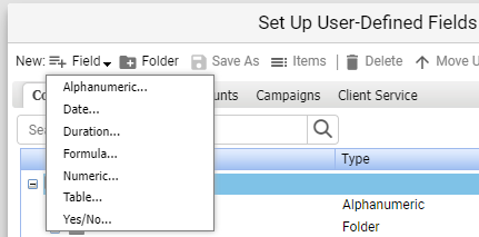Create User Defined Field For Leads 02a.png