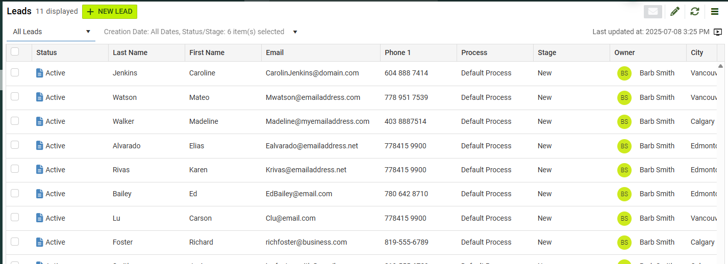 Leads module interface.png
