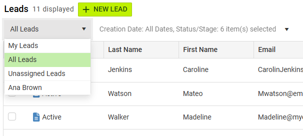 Leads Drop Down.png